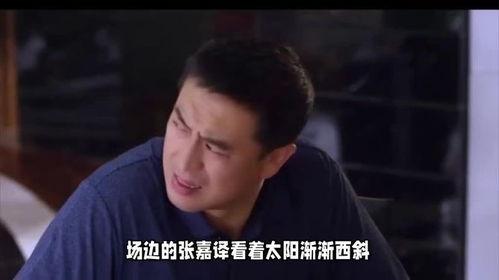 娱乐圈的意义,揭秘明星背后的故事与影响力