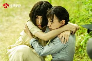 电影网红蔷薇,青春绽放的璀璨星辰