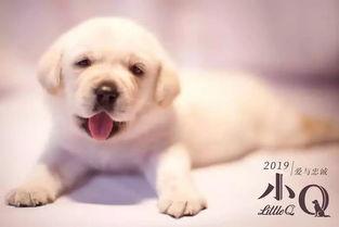 罗永昌演员,光影交织的演艺人生