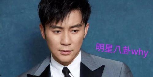 范爷退出娱乐圈,告别娱乐圈，开启人生新篇章